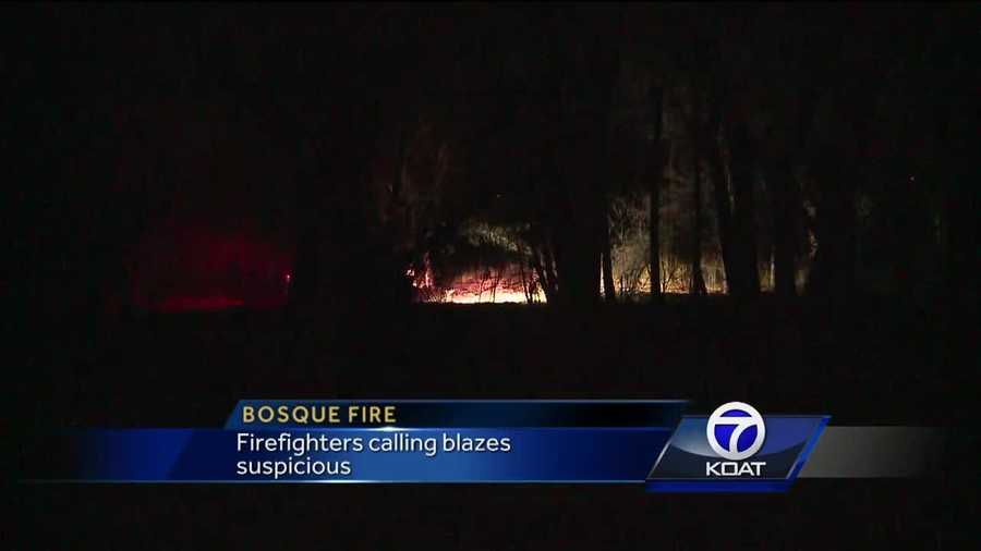 Albuquerque firefighters extinguished several small fires near Tingley Beach Sunday.