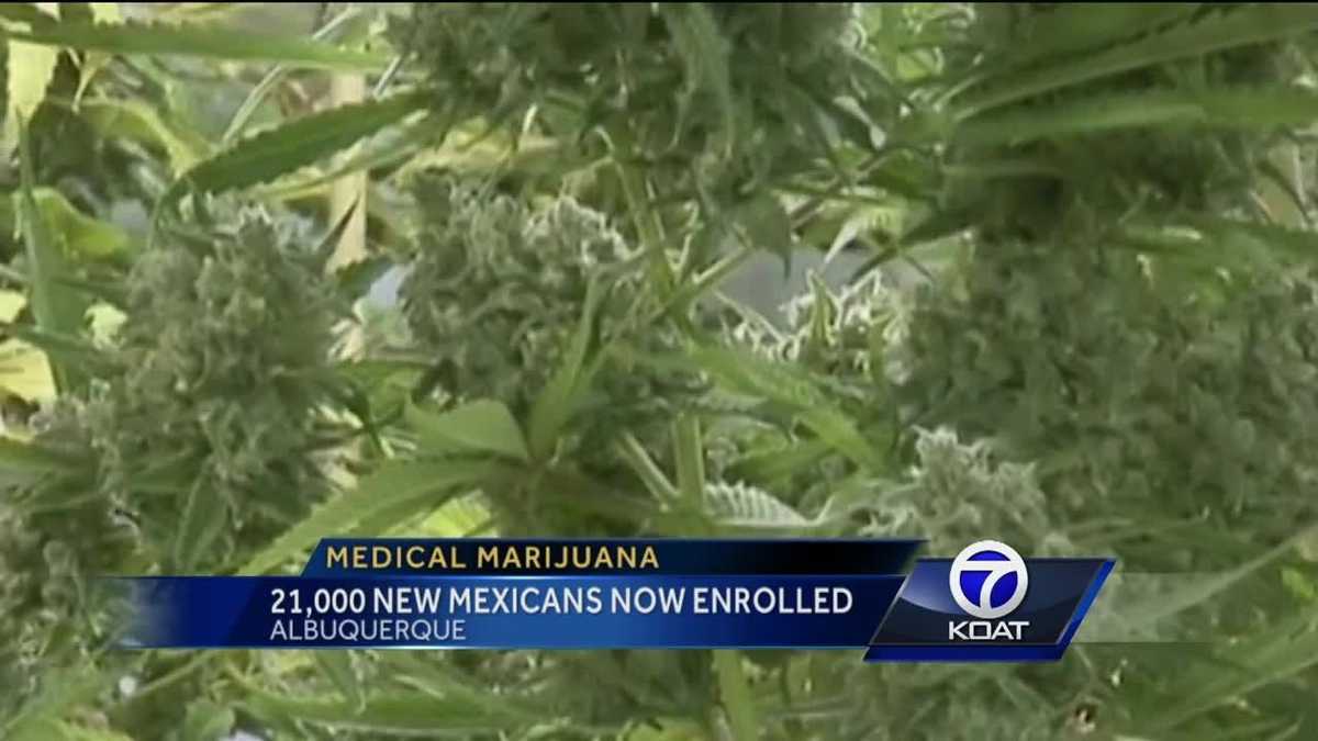 21,000 New Mexicans have medical marijuana cards