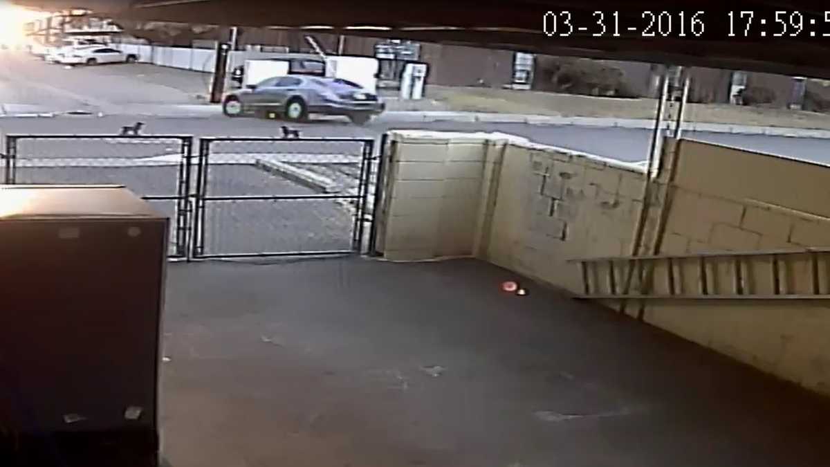 Video Car runs over man in Albuquerque