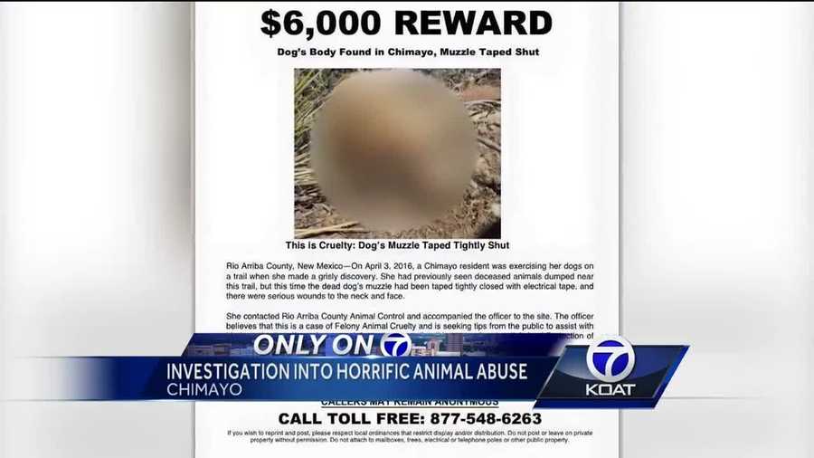 Apnm Offering 6 000 Reward For Alleged Animal Cruelty