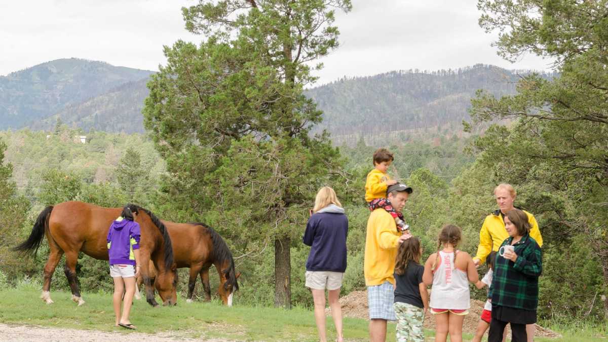 Ruidoso residents angered after herd of horses rounded up by state