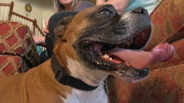 A rescued dog is now saving other lives in Oklahoma.