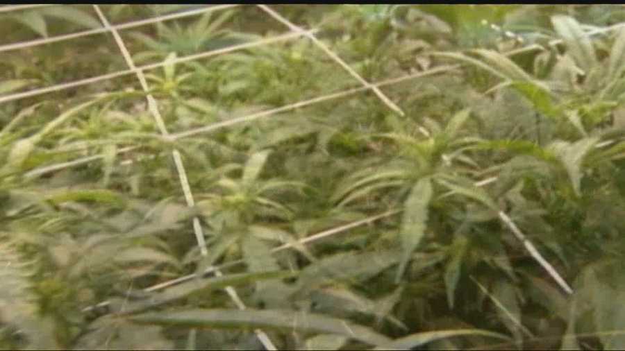 Oklahomans seek signature for a petition to legalize medical marijuana.