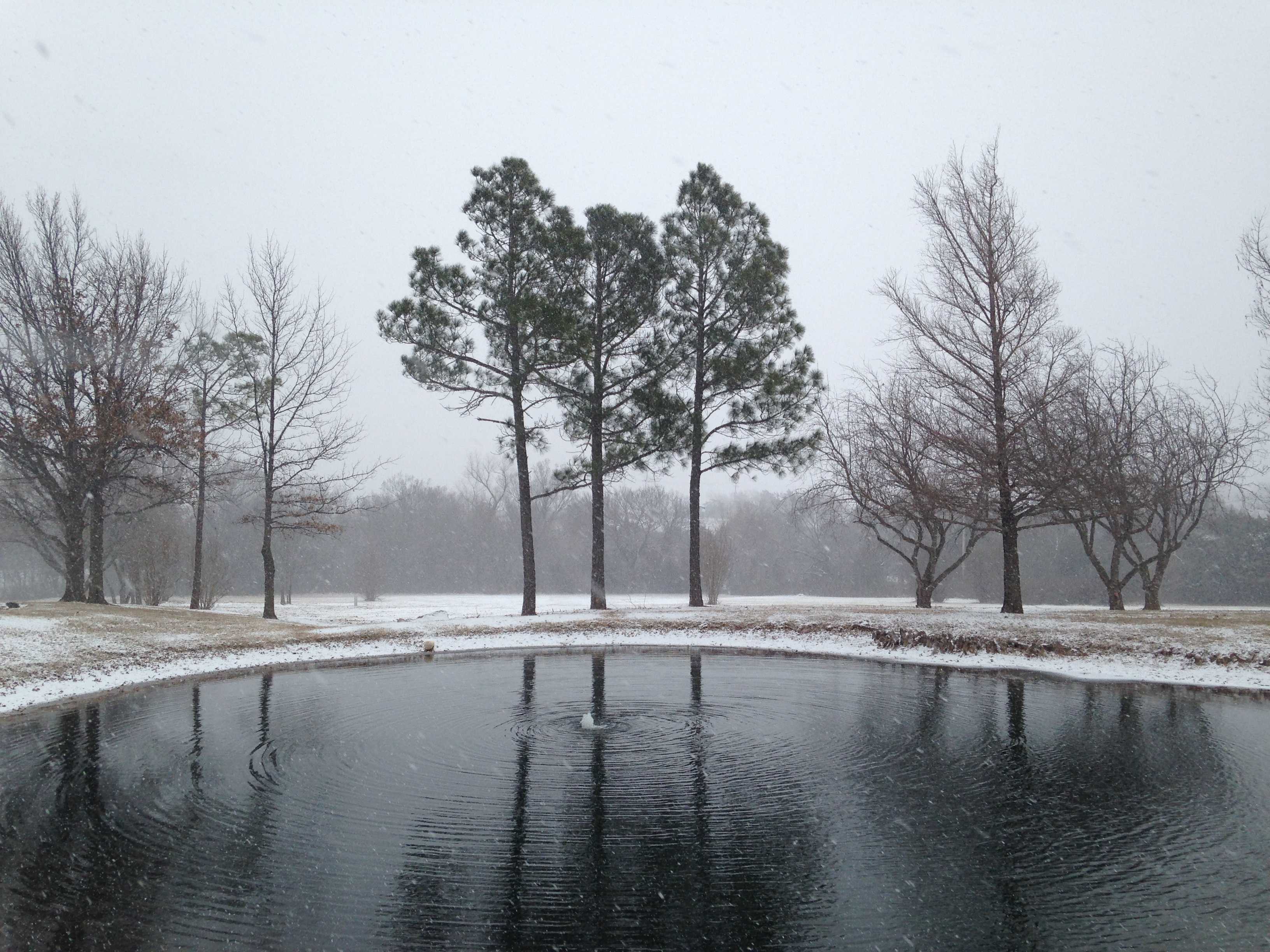 PHOTOS: Feb. 22-24 Oklahoma Snow