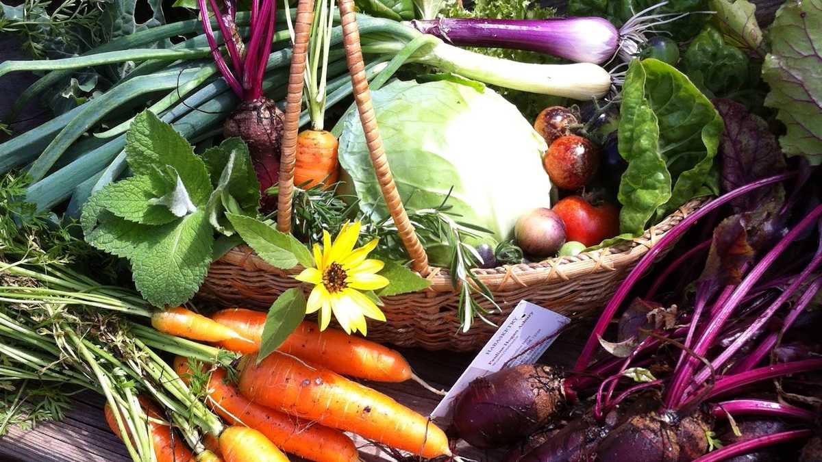 Oklahoma gardening made easy