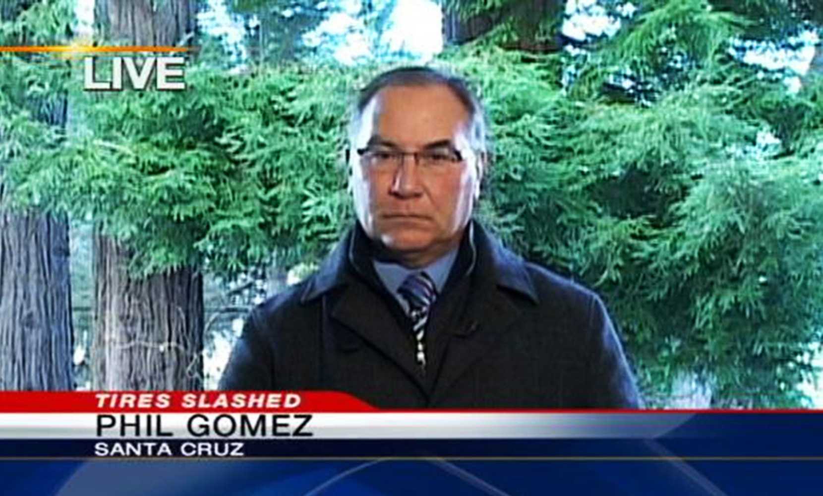 What s up with the redwood trees behind Phil Gomez