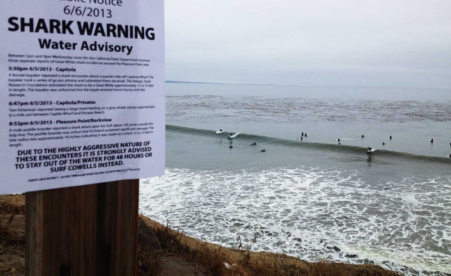 Fake shark warning signs posted at Pleasure Point in Santa Cruz