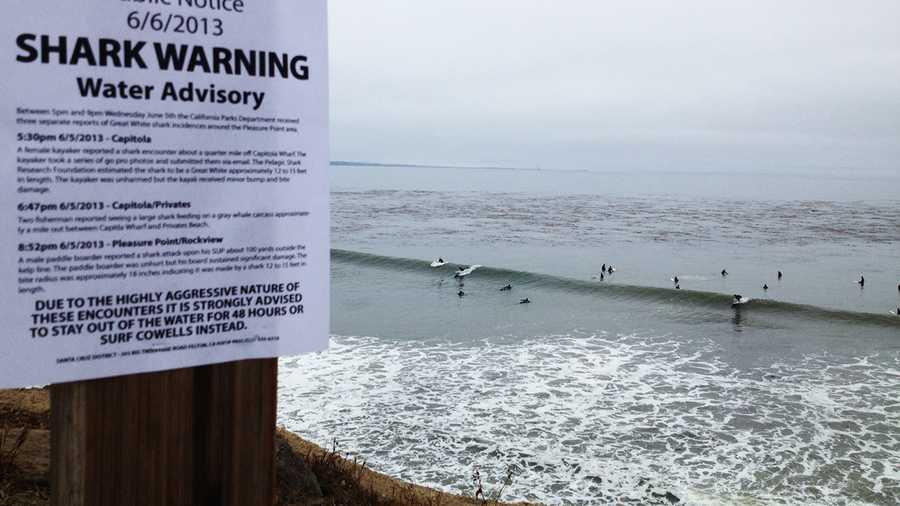 This "Shark Warning" sign was posted early Thursday morning. Surfers still surfed. 