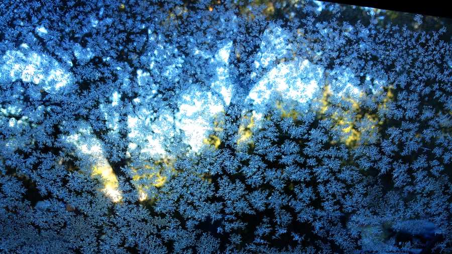 Frost in Scotts Valley. (Dec. 6, 2013)
