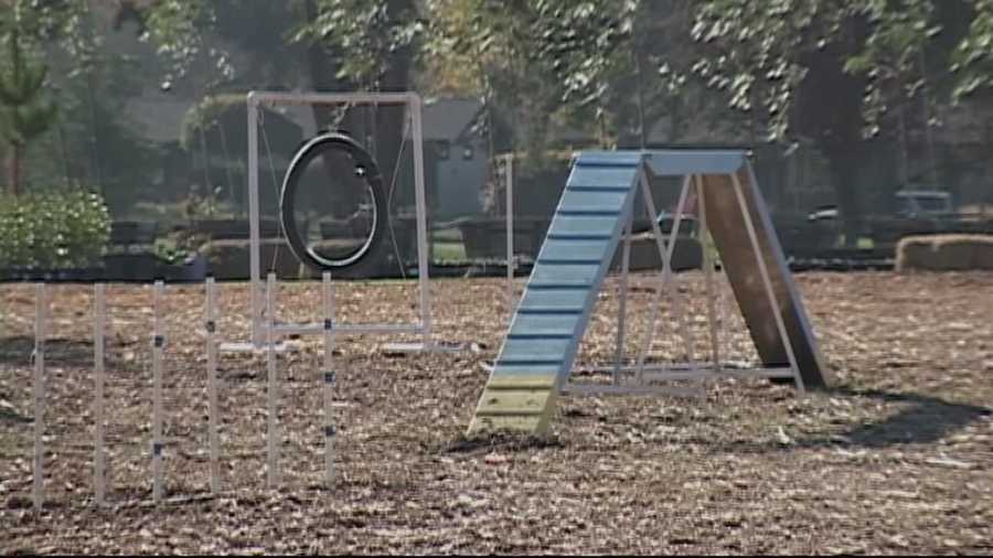 A controversial new dog park will have little negative impact on Carmel Valley, a report concluded.