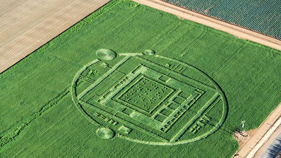 Julie Belanger shot this photo of the Chualar crop circles from a helicopter Monday morning. (Dec. 30, 2013)