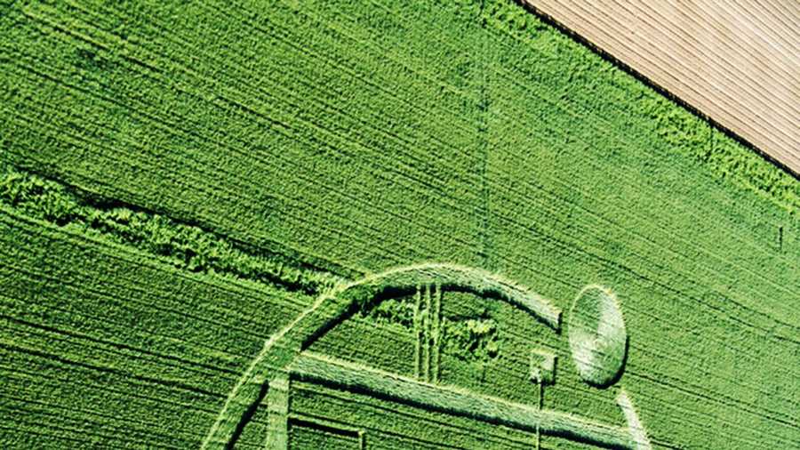 This image of the Chualar crop circle has been rotated 90 degrees to show a braille inscription at the correct position.