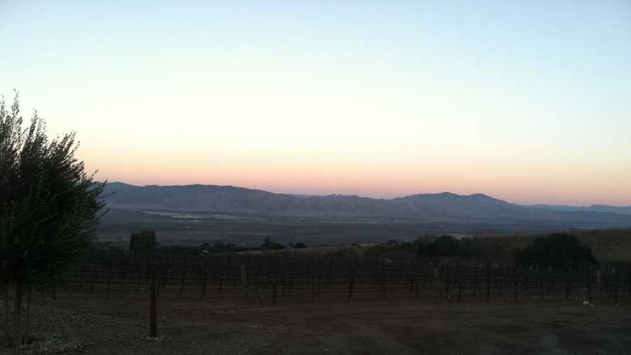 Salinas Valley vineyards