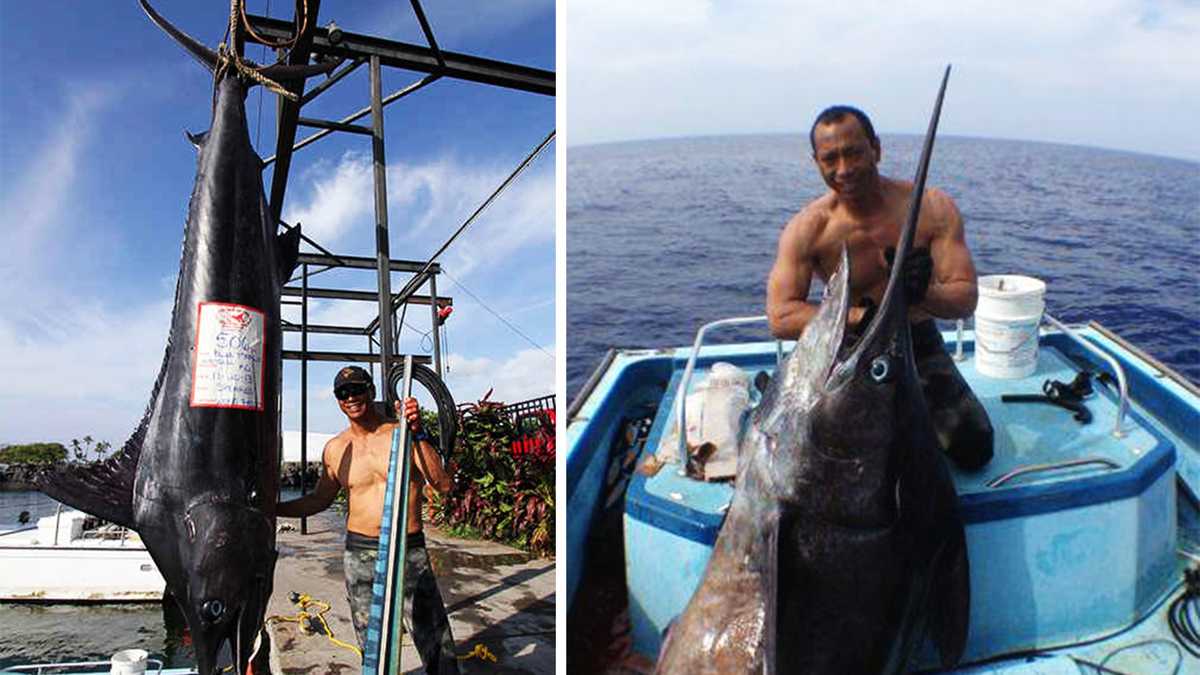 Marlin Fishing - Blue Marlin Fishing - Kona, HI, Marlin Tournament Fishing