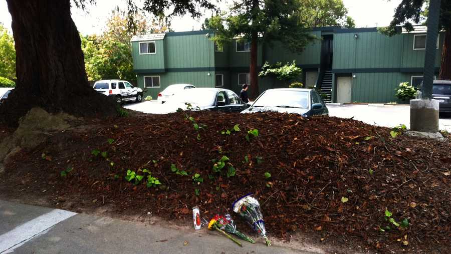 Flowers were left where a woman was stabbed in Capitola Saturday. 