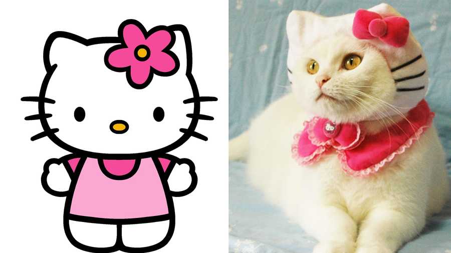 Apparently, Hello Kitty is not a cat. 