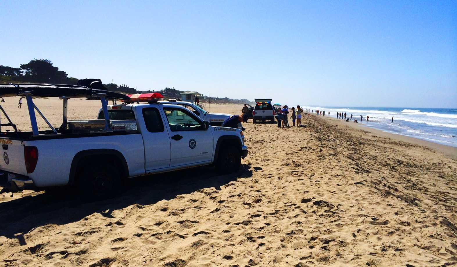 Ocean swimmer who drowned at south Santa Cruz County beach identified