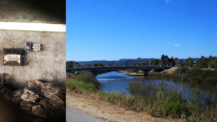 Boxes called The Mosquito, left, were planted along the San Lorenzo River levee in downtown Santa Cruz.