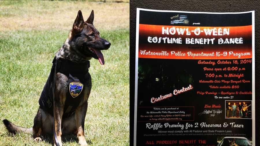 The Watsonville police force's K-9 is named Ellix, left. A flier, right, advertises a dance party to raise money for a second police K-9. 