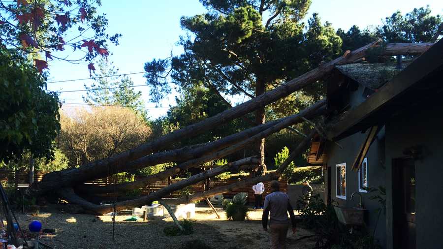A tree landed on this Aptos house Wednesday morning. 