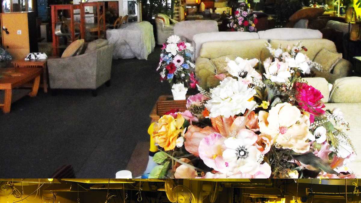 Sheriff Gilroy furniture store was front for massive pot grow