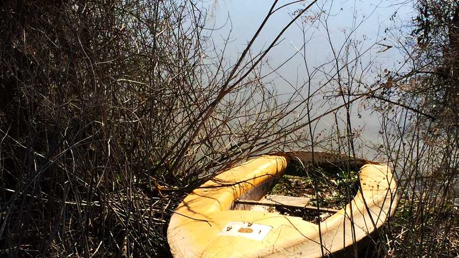 Several old boats, tires, and even poison containers were found at the bottom of the Pajaro River during a cleanup on Wednesday. 