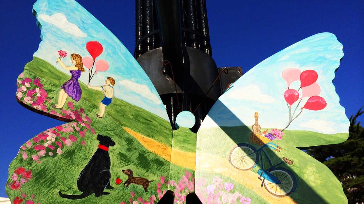PHOTOS: Beautiful butterflies in downtown Pacific Grove