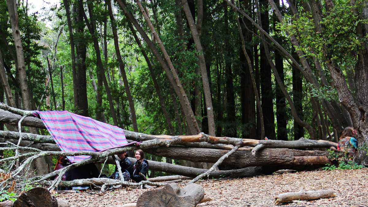 PHOTOS: 4/20 celebration at UC Santa Cruz