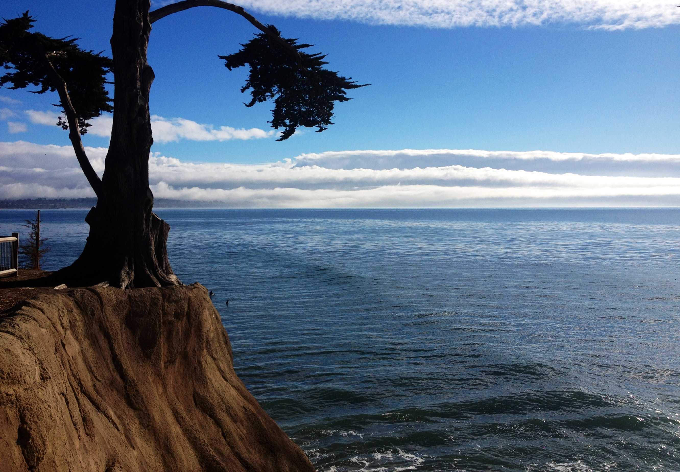 Team to study extensive toxic algae bloom along West Coast