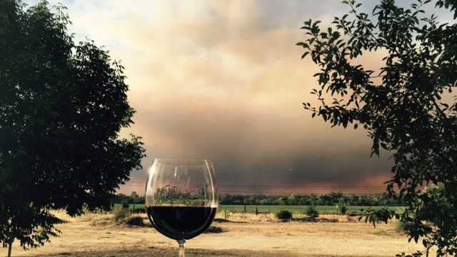 A wind-fueled grass fire that broke out Wednesday near Lake Berryessa forced mandatory evacuations and caused a "storm cloud of smoke" to cover parts of Yolo and Napa counties. (July 22, 2015)