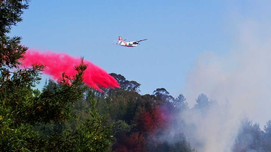 A small wildfire in Scotts Valley was quickly doused by CalFire on July 30, 2015. 
