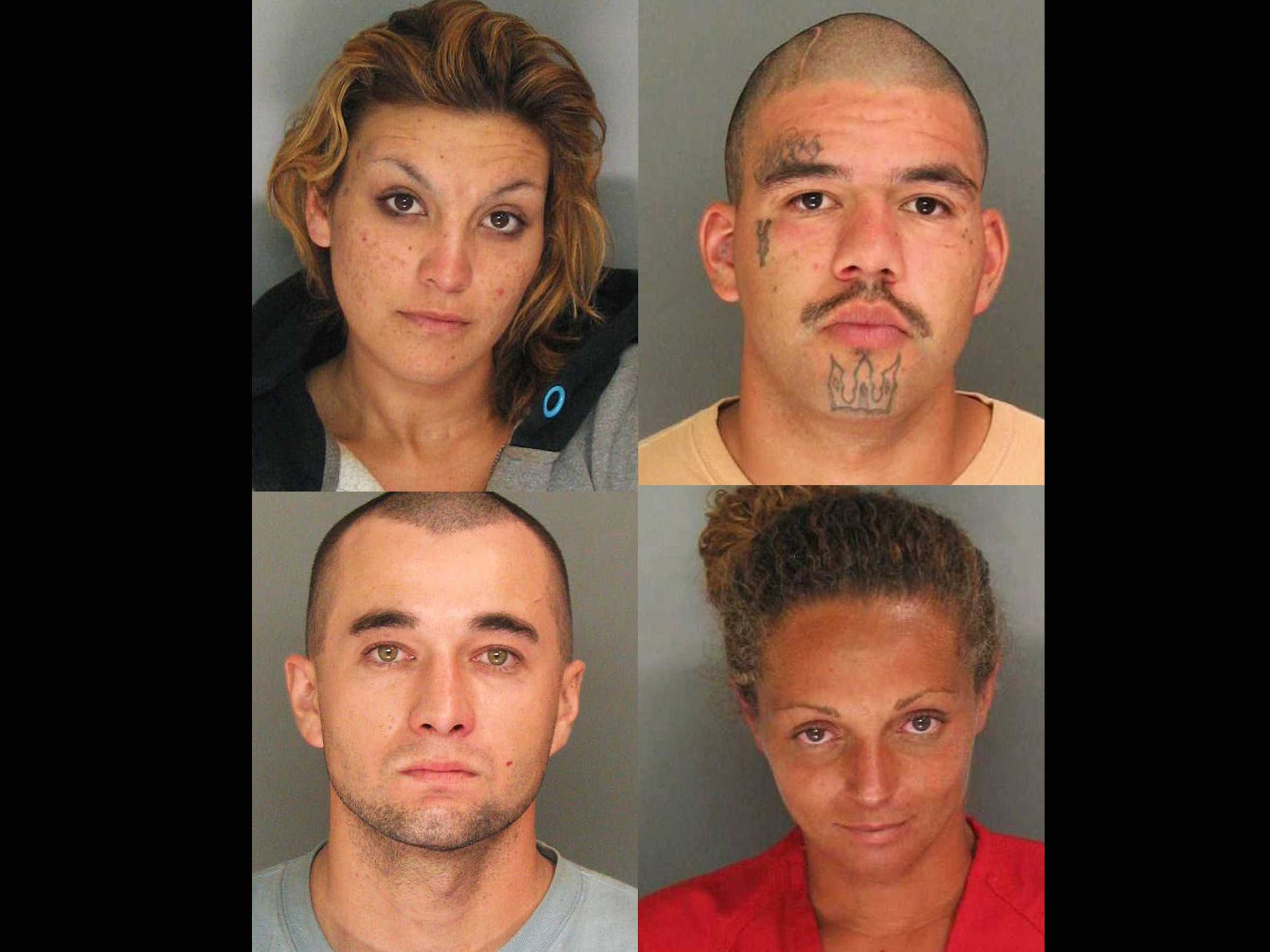 31 arrested cited in Santa Cruz County gang sweep