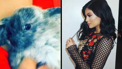 Kylie Jenner, right, and her new bunny, left. 