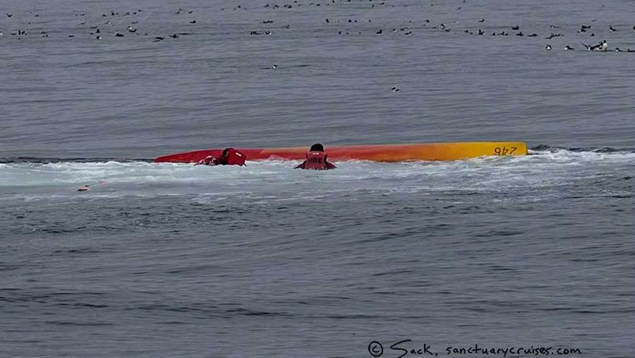 Two people swim back to their overturned kayak after a whale nearly landed on them near Moss Landing. (Sept. 12, 2015)