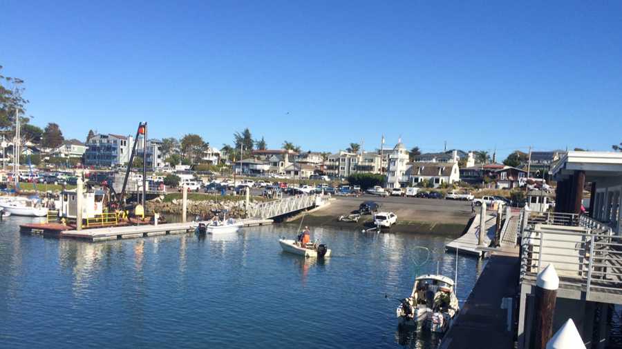 Fishermen return to Santa Cruz Harbor with catch of the day--none of it is crab.