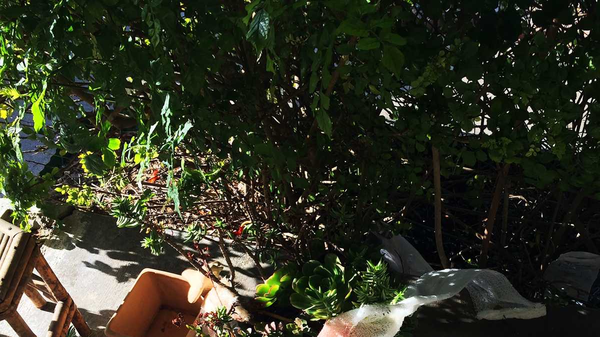 PHOTOS Marina officerinvolved shooting crime scene