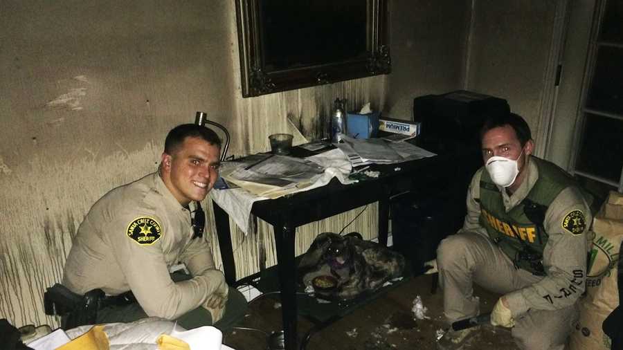 Deputies rescued dogs from the burning Aptos house, including this Chihuahua.