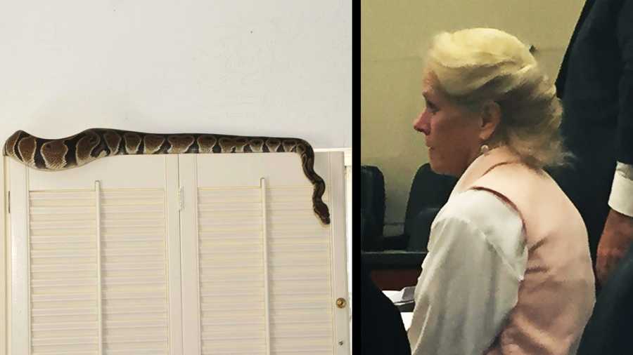 The python that Mary Kay Brewster planted in her estranged husband's bedroom, left, and Brewster in court on Wednesday, right.