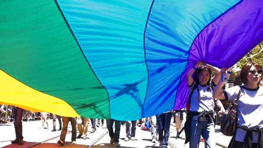 A flag is carried at a gay pride parade in San Francisco.