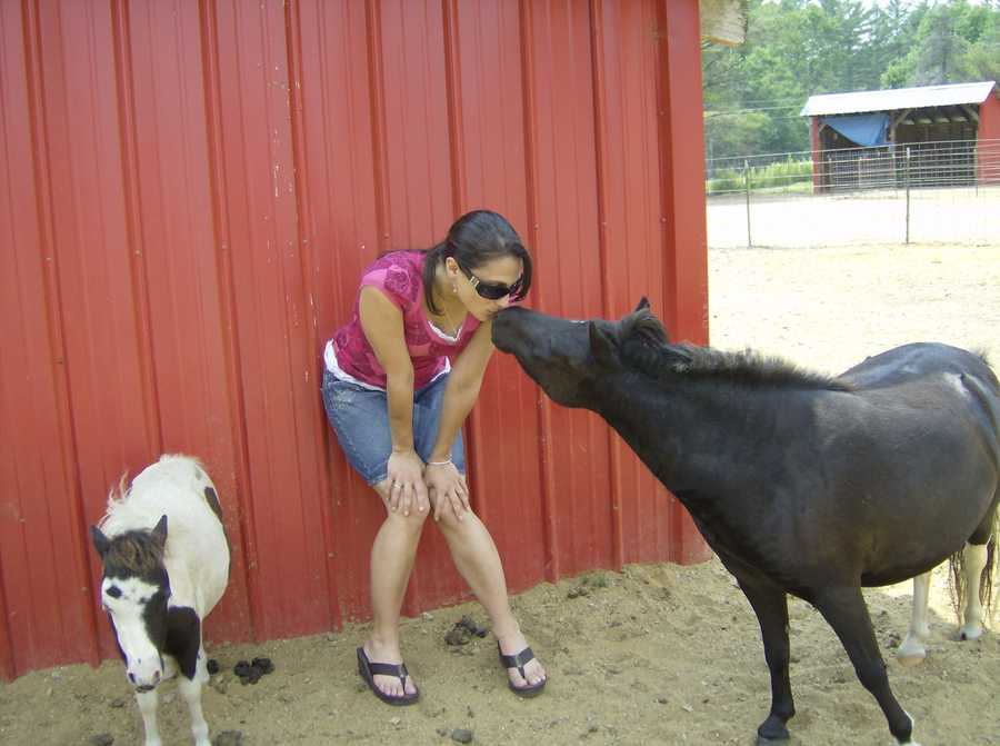 WMUR cjcolombo WMUR cjcolombo.jpg