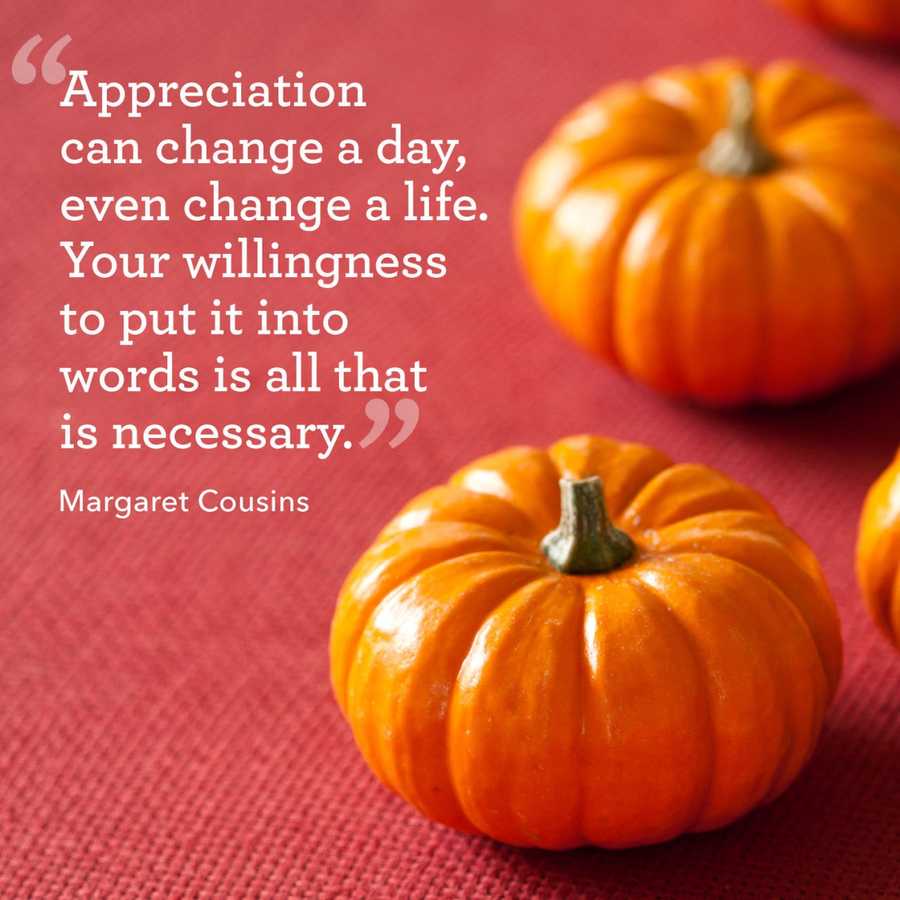 Gratitude Quotes to Bring Meaning to the Thanksgiving Season