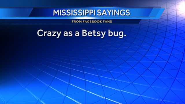 Mississippi sayings that make us unique