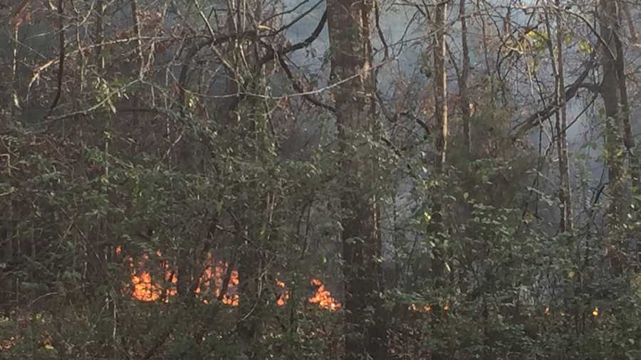 Firefighters are on the scene of a wildfire in Terry.