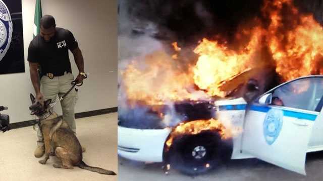 Detective Anthony Foxx and another JPD officer saved K-9 Alpha from a burning police car.