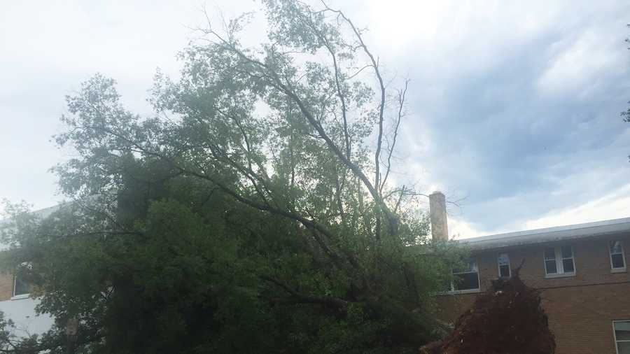Crews were working to clear a tree that took down a power line in Carthage. 