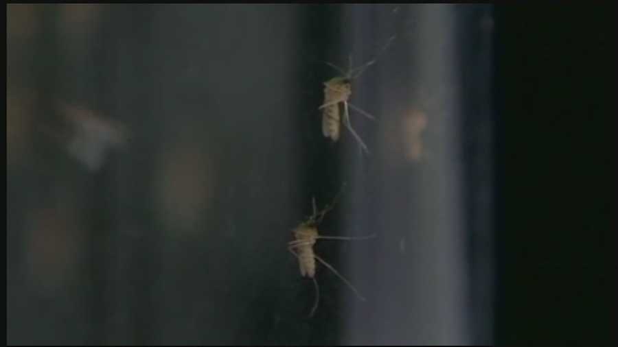 A second case of West Nile identified in Mississippi.