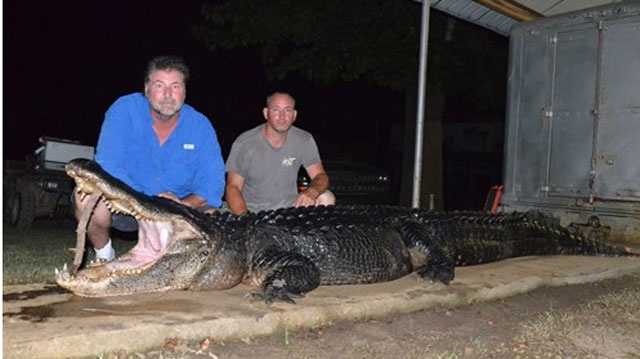 A 10-foot alligator has broken the Mississippi record. It could be