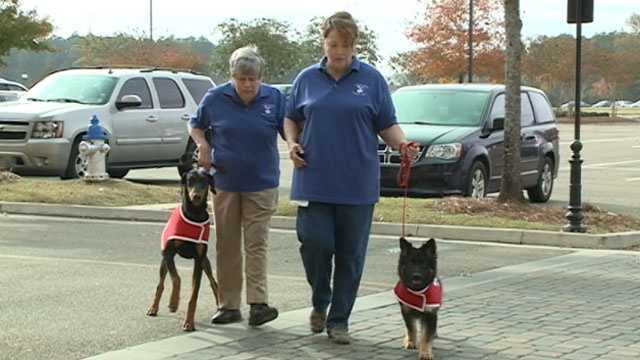 Gallant hearts guide dog sales center