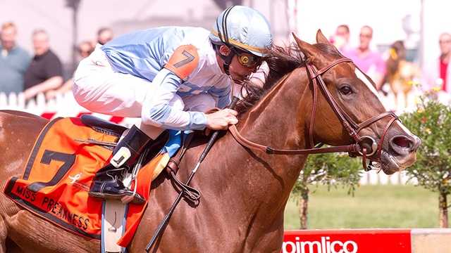 Agave Kiss runs away with Miss Preakness Pink Warrior Stakes.