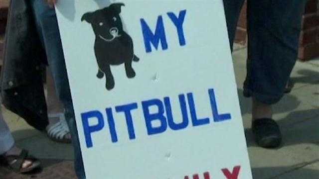 Owners of pit bulls -- subject to a recent high court ruling that determined pit bulls are "inherently dangerous" -- demonstrate at a Special Session of the General Assembly.